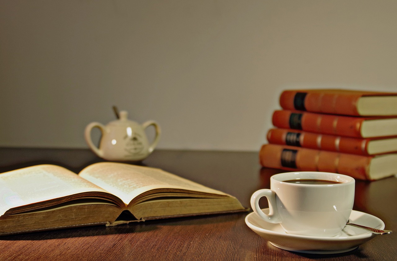 The careful reader guide to reading expert opinions